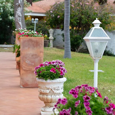 La Perla Exotica * 로스 레알레호스