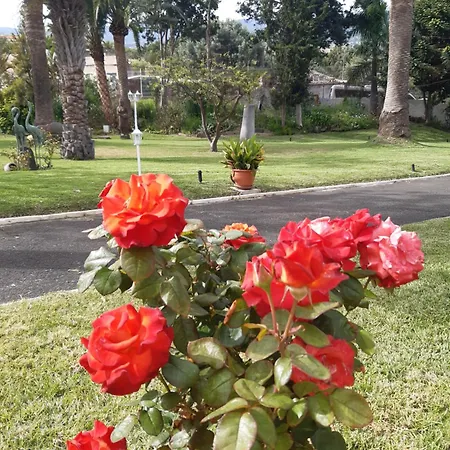 La Perla Exotica 빌라 로스 레알레호스