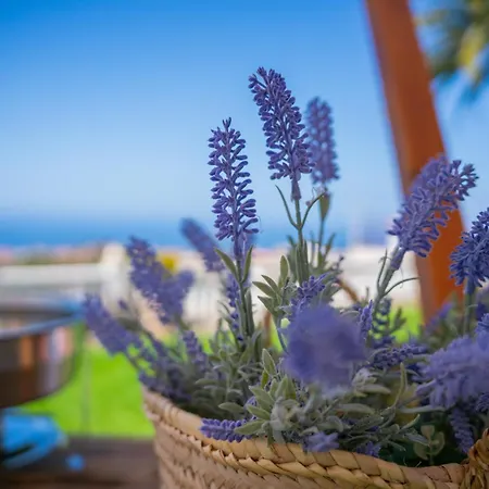 La Perla Exotica Βίλα Λος Ρεαλέχος